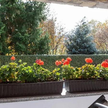 Apartament Luxury In Thuringia Near *